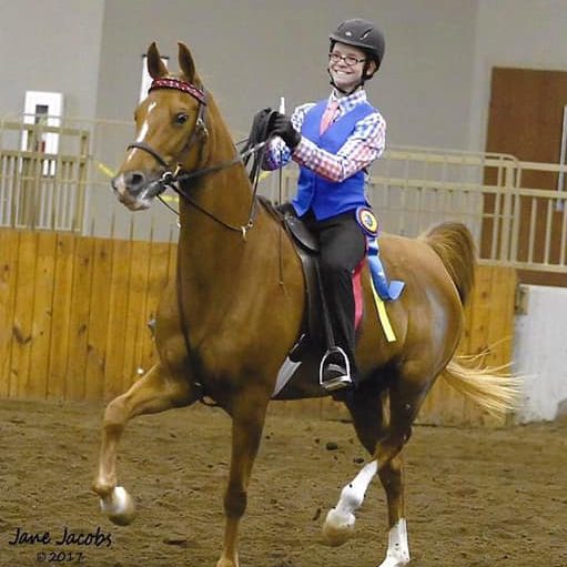 Magic is a beginner lesson horse that is another horse that everyone learns to canter on! Magic is an American Saddlebred whose registered name is Miss Magic Moment!
